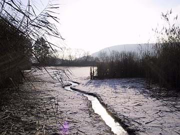Haiger See