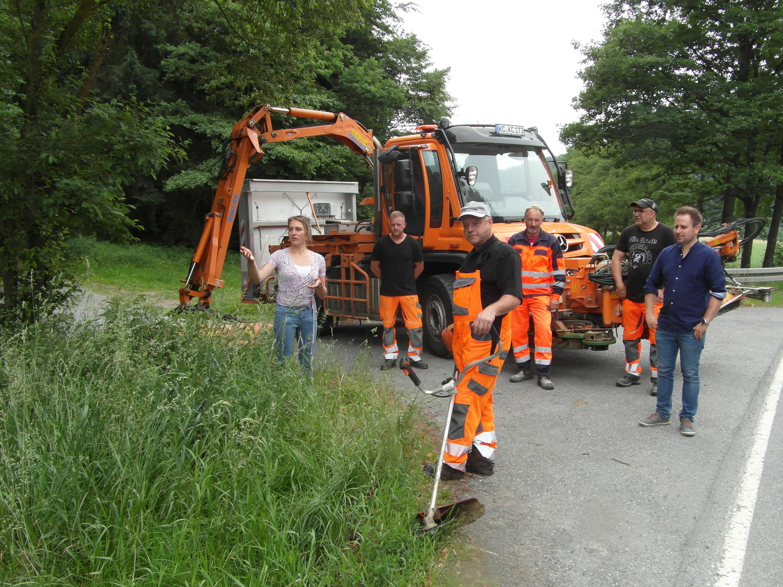 Blühflächen an den Straßenrändern