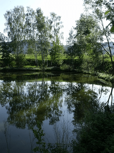 Gundelsdorfer Tongrube