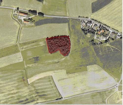 Heiligenholz Luftbild