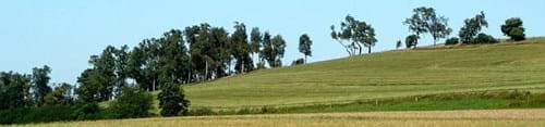 Birkenhain