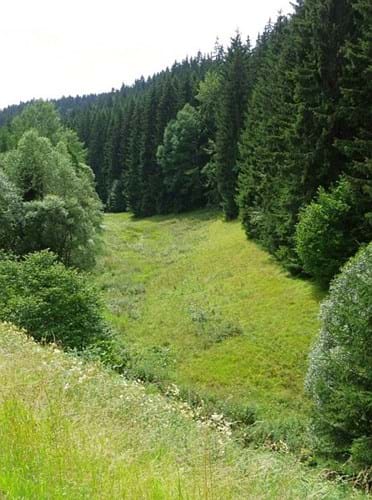Steinbachtal