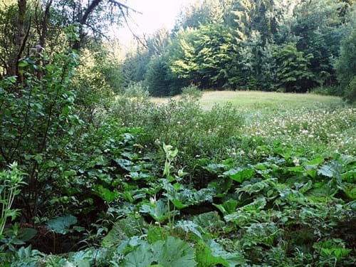Hölzlersgrund