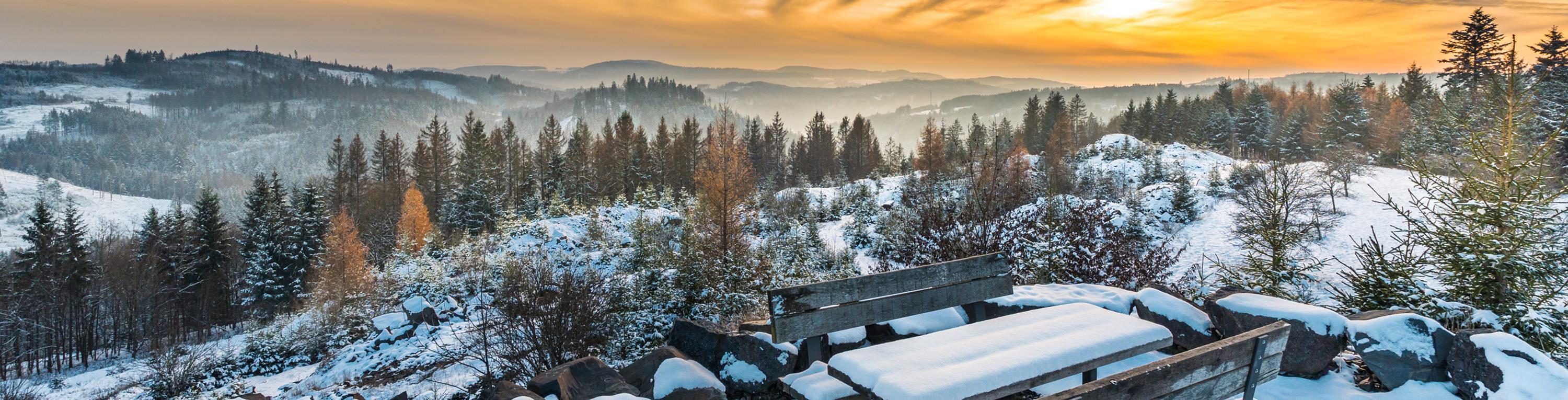 Leider haben wir keinen Alternativtext zu diesem Bild, aber wir arbeiten daran.
