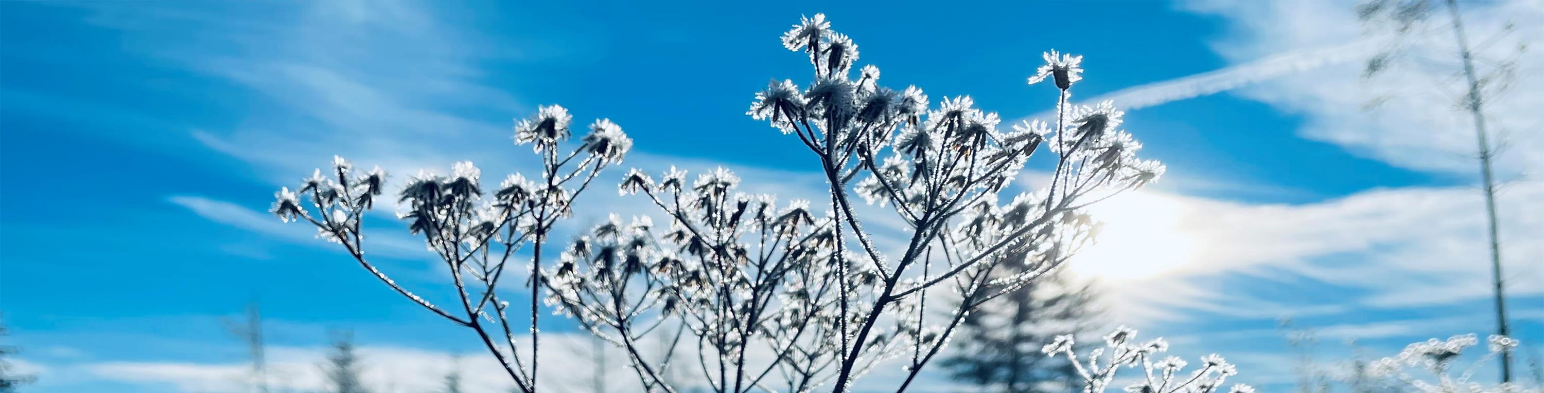 Leider haben wir keinen Alternativtext zu diesem Bild, aber wir arbeiten daran.