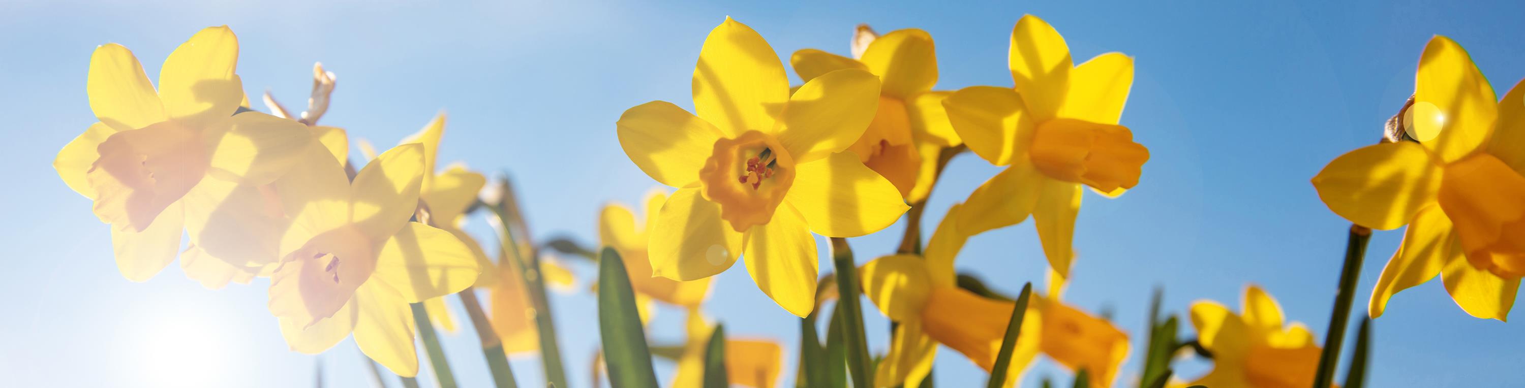 Leider haben wir keinen Alternativtext zu diesem Bild, aber wir arbeiten daran.