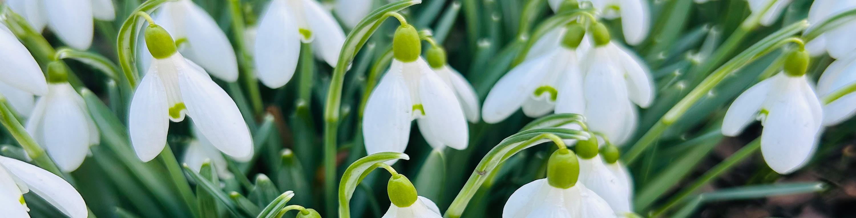 Leider haben wir keinen Alternativtext zu diesem Bild, aber wir arbeiten daran.