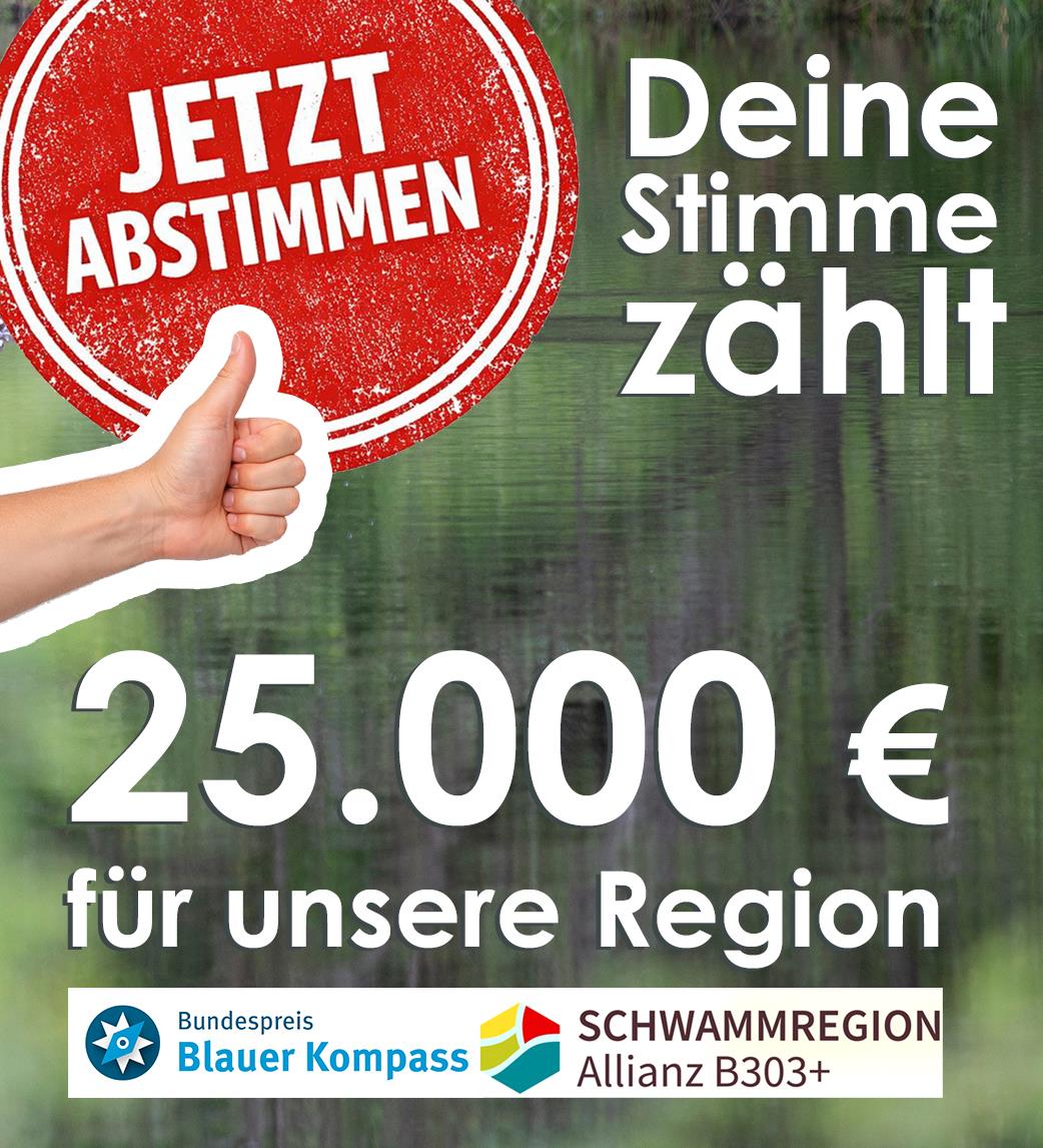 Voting Kopie