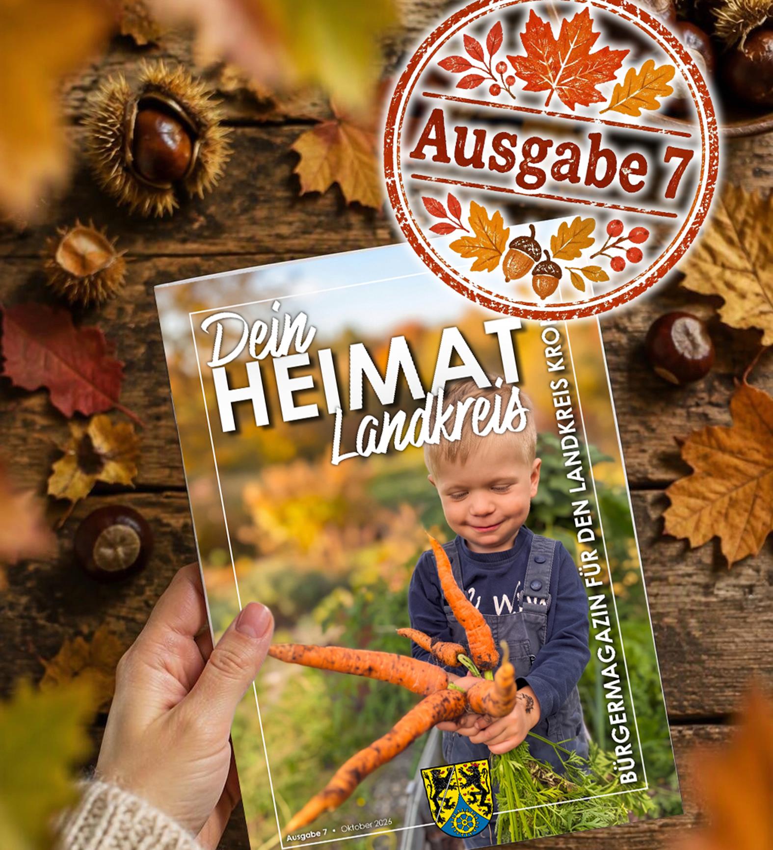 Ausgabe 7 HP