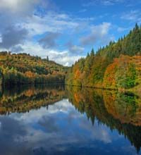 Frankenwaldfjord.jpg