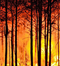 Waldbrand_pixabay.png
